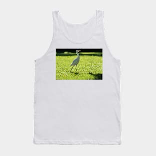 Cattle Egret: Tank Top